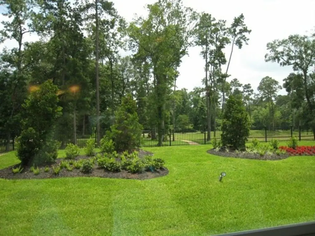 Manicured commercial-grade lawn and tree wells